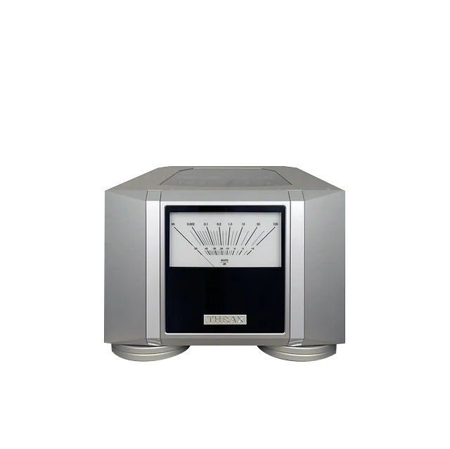 Spartacus 300 Monoblock Power Amplifier