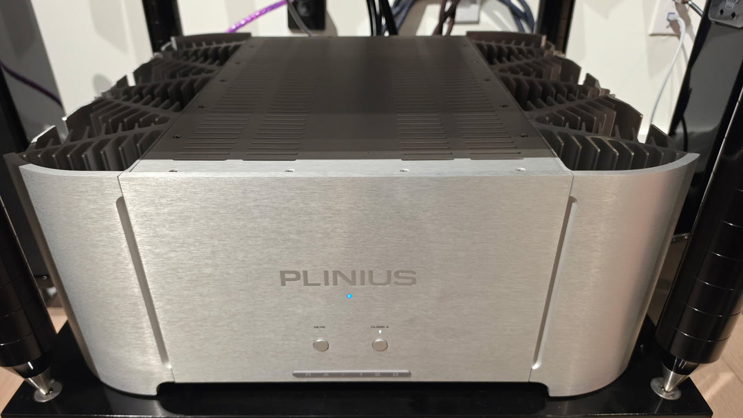 Plinius Reference A-150 Stereo / Mono Power Amplifier in Silver EXCELLENT
