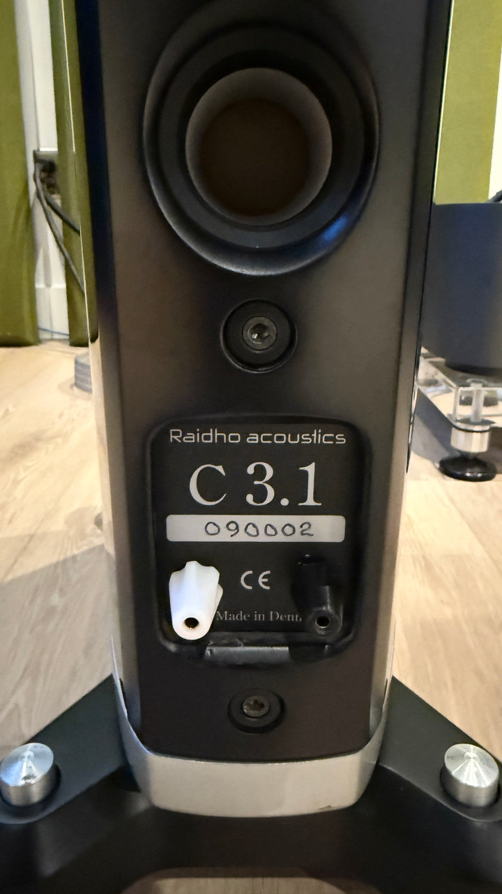 Raidho Acoustics C3.1 Full Range Speakers in Gloss Black