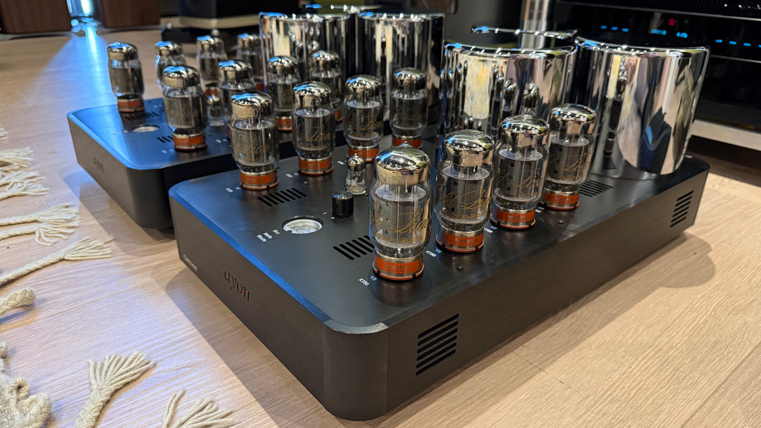 Ayon Audio Orthos II Tube Monoblock Amplifiers EXCELLENT