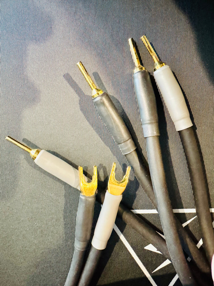 Shunyata Research Alpha V2 2M Speaker Cables Biwire Spade to Banana w Box EXCELLENT