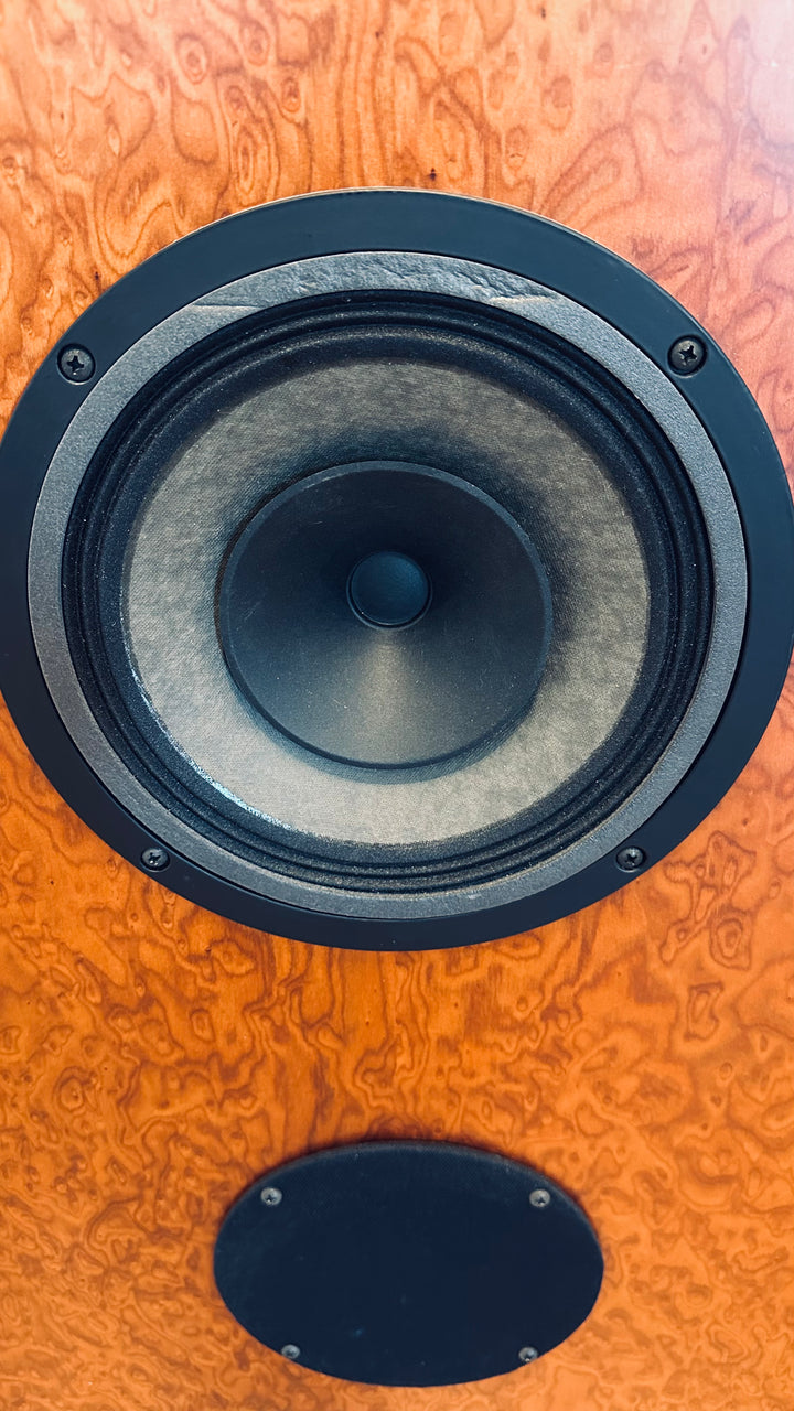 Omega Speaker Systems SuperHemp Full Range Speakers VERY GOOD