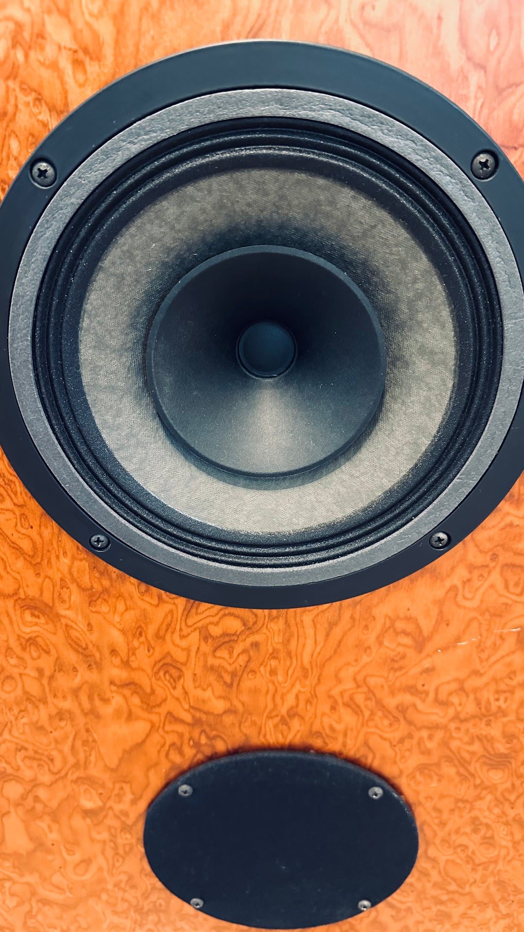 Omega Speaker Systems SuperHemp Full Range Speakers VERY GOOD