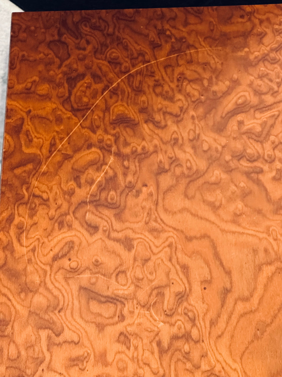 Omega Speaker Systems SuperHemp Full Range Speakers VERY GOOD