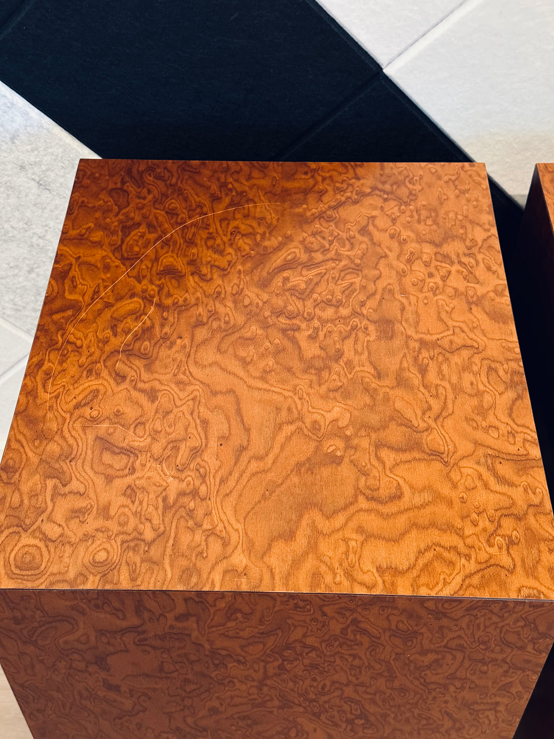 Omega Speaker Systems SuperHemp Full Range Speakers VERY GOOD