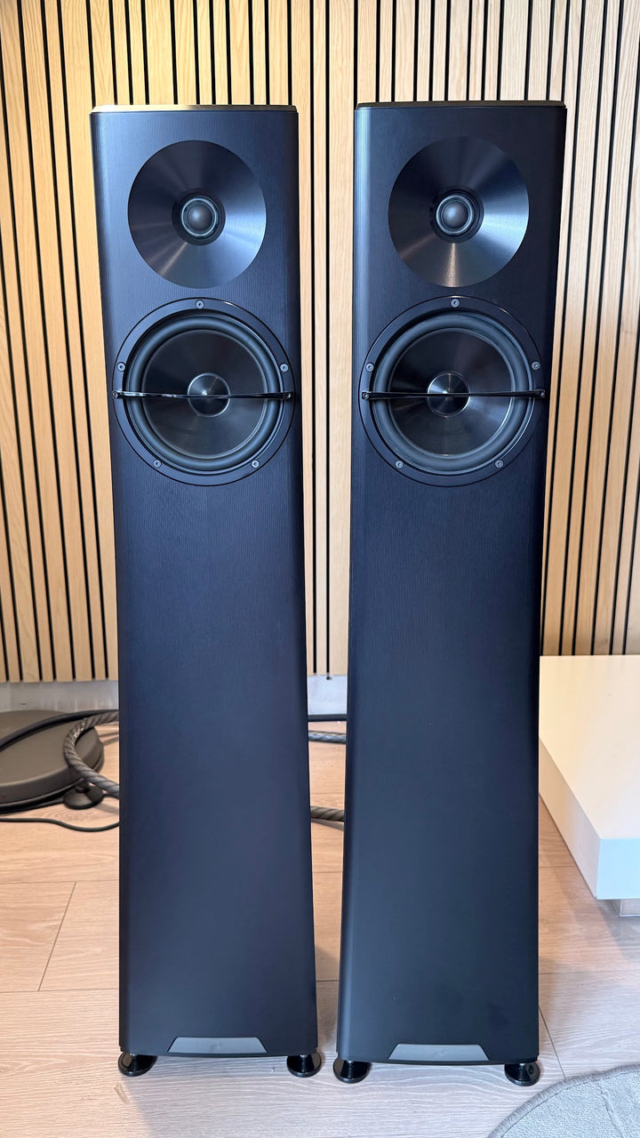 YG Acoustics Carmel 2 Speaker in Black with Box EXCELLENT