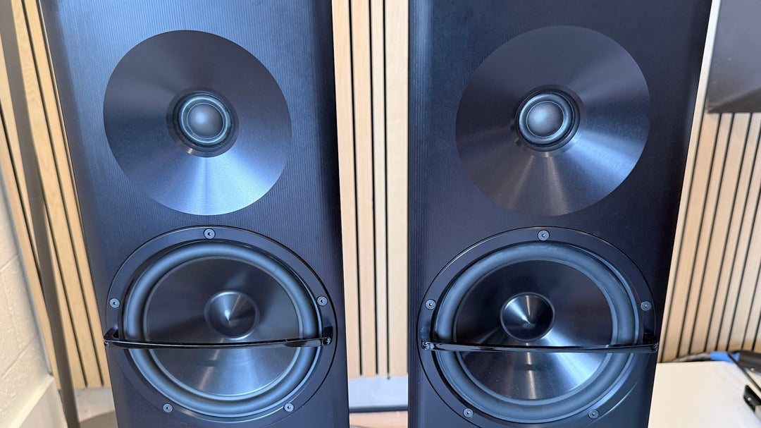 YG Acoustics Carmel 2 Speaker in Black with Box EXCELLENT