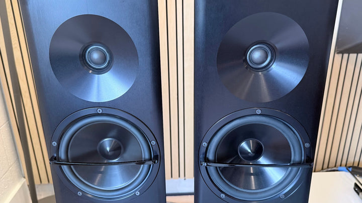 YG Acoustics Carmel 2 Speaker in Black with Box EXCELLENT