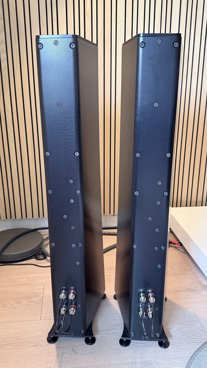 YG Acoustics Carmel 2 Speaker in Black with Box EXCELLENT