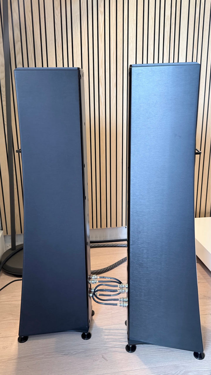 YG Acoustics Carmel 2 Speaker in Black with Box EXCELLENT