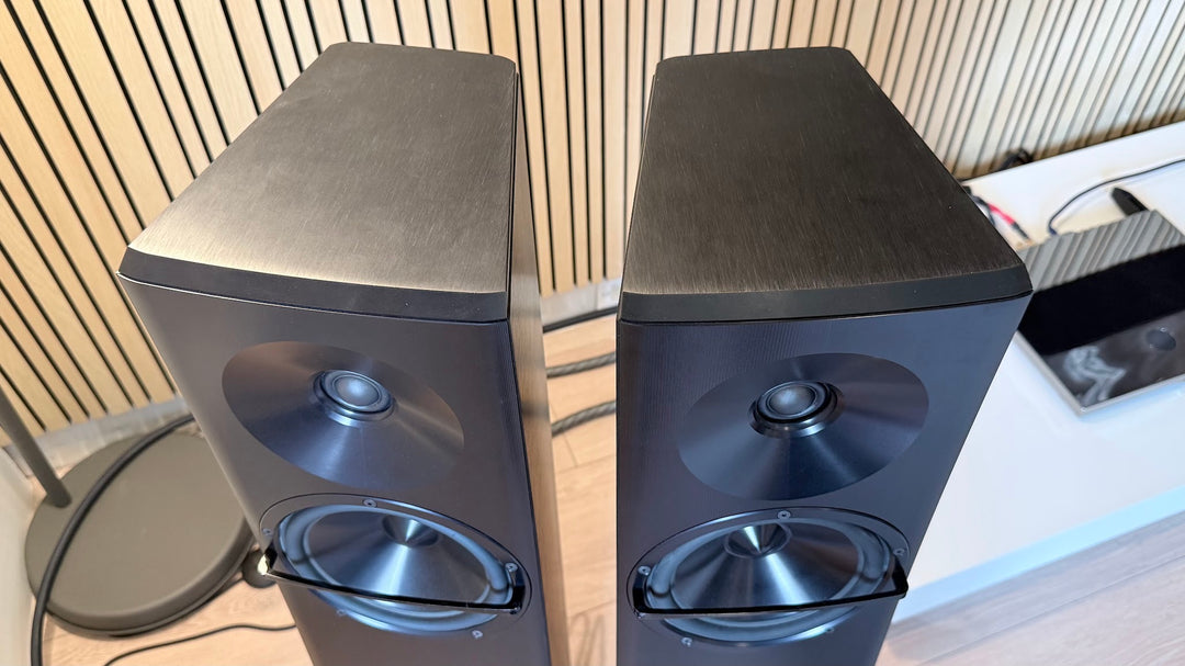 YG Acoustics Carmel 2 Speaker in Black with Box EXCELLENT